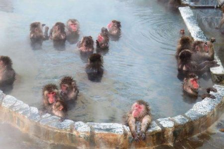 最近の寝坊事情